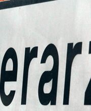 Dr. med. vet. Bentivoglio Filippo Bild 1