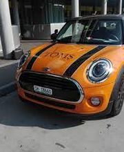 Tom's Fahrschule Bild 3