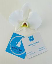 Perfect Clean Bild 1