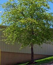 Seabrook Self Storage image 13