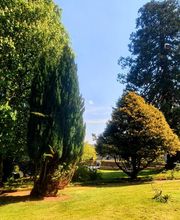 COSY ER LANN image 10