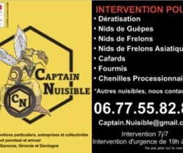 Captain Nuisible image 9