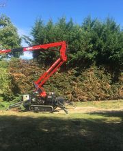 Des Racines à la Cime image 6