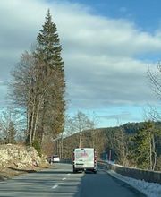 Suisse Déménagement SARL Bild 4