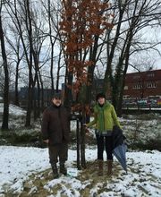 Lorra S. Coop. imagen 10