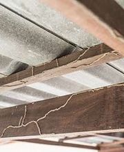 Lloyd Pest & Termite Control image 15