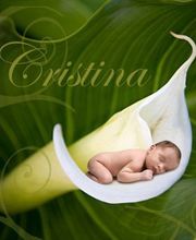 Hoyos Foto Estudio imagen 6