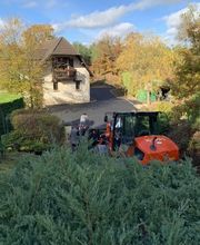 SIMOSEINE BTP image 8