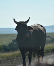 Trusted Craft Design Bild 15