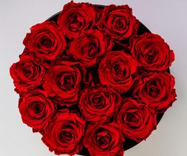 Blumen Kaiser Bild 2