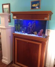 Summerville Flowertown Chiropractic image 12