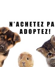 Refuge Édile Lacroix de Maubeuge image 1