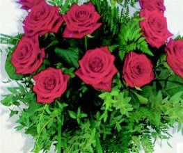 Rose Flor imagen 8