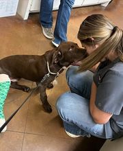 Bay City Veterinary Clinic & Equine Hospital image 1