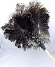 Straußen Staubwedel