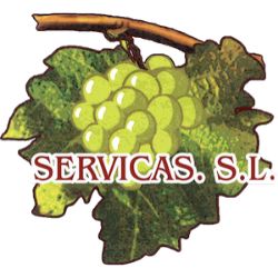 SERVICAS-LOGO.png