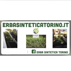 Erba Sintetica Torino logo
