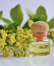 Royal Relax GmbH Massage Köln