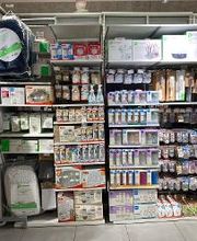 Orchestra GRASSE image 15