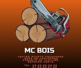 MC Bois image 6
