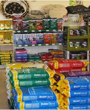 Zoo Rohleder Bild 14