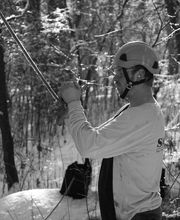 SavATree - Tree Service & Lawn Care image 3