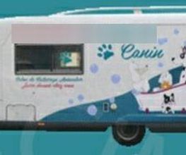 Au Bain Canin image 9