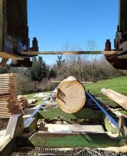 Scierie Mobile Petit Gilles image 3