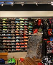 Intersport Wolf Bild 3