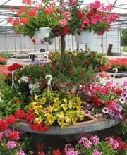 ESAT DOMAINE DU PUCH image 11