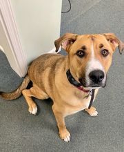 Crossfield Heating & Air Conditioning image 9