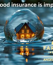 Farmers Insurance - Angela Schertle image 20
