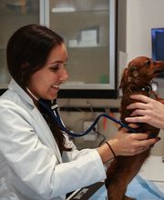 Pure Paws Veterinary Care of Clinton Hill image 8