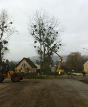 Brallet Père & Fils SARL image 4