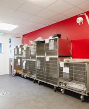 Clinique Vétérinaire Rive Ouest image 8