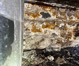 Aco.Habitat image 4
