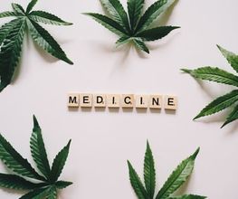Greenzone - CBD Shop Bild 6