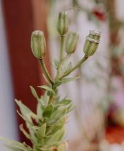 Carsten Janke Photography Bild 12