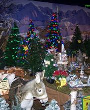 Jardinerie Villaverde image 8