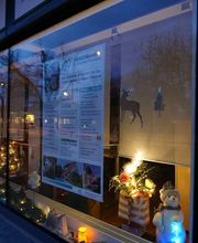 Meister Immobilien-Treuhand Bild 7