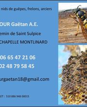 Dufour Gaetan A.E. image 4