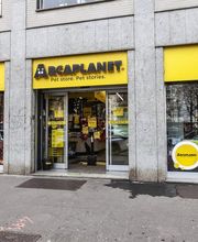 Arcaplanet immagine 1