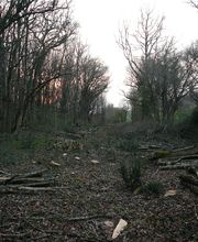 Lassus Sébastien image 2