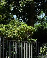 Amandine Galante Pilates image 7