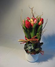 Maison NECTOUX Fleurs et nature image 8