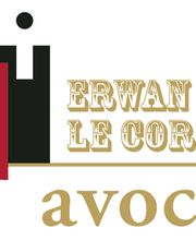 Erwan Le Cornec image 8
