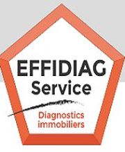 Effidiag Service image 2