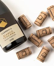 Parenti & Co: The Branding Studio Bild 6