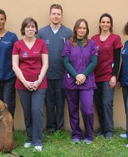 Clinique Vétérinaire de Montfavet image 3