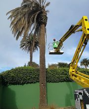 Jardinería Juan García imagen 9